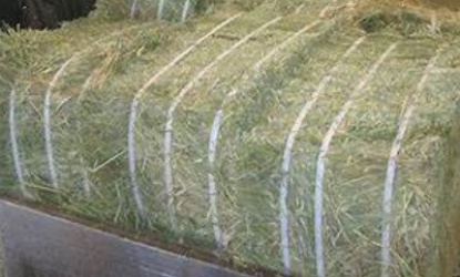 Baler Strapping Production Line: The Future of Polyester Flexible Strapping